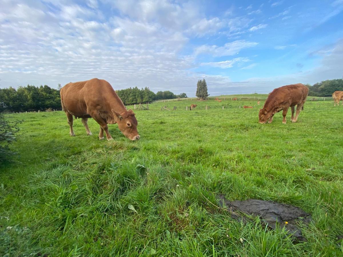 K 357 - Low Budget Hotel In Ratekau Bei Luebeck Eksteriør bilde